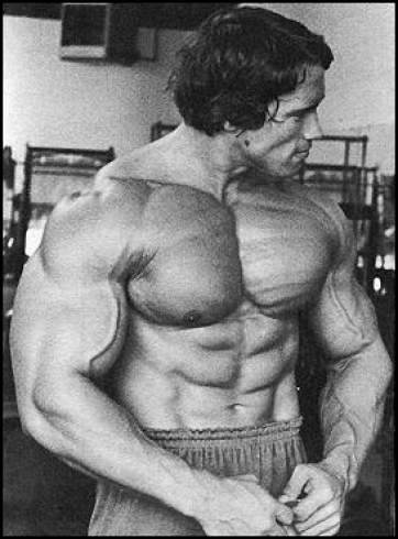 Arnold Schwarzenegger 3